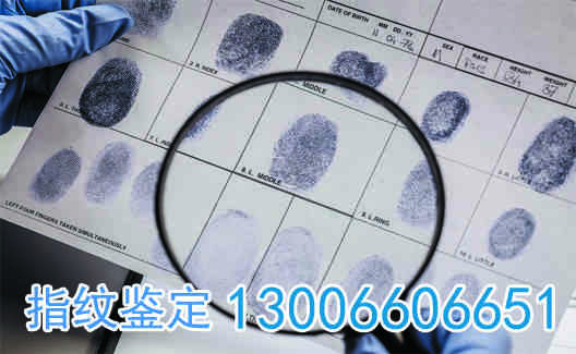 指纹正文图1.jpg