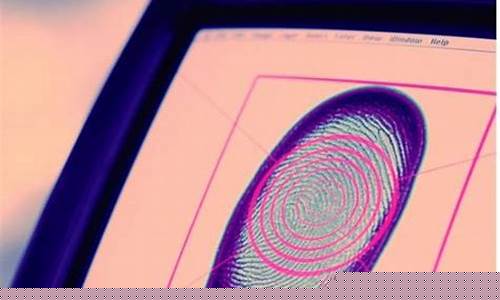 鉴定指纹破案(指纹破案大班优质课)