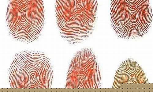 指纹手印自己鉴定视频(指纹鉴定是否属于手印鉴定)