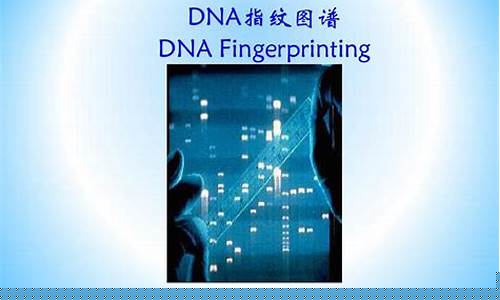 dna指纹鉴定(DNA指纹鉴定凶杀案)