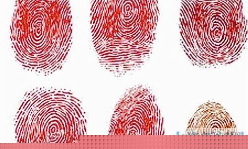 指纹鉴定多久出结果(盗窃指纹鉴定多久出结果)