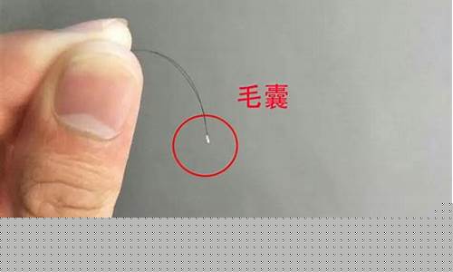 毛发指纹鉴定(上海毒品毛发鉴定地址)