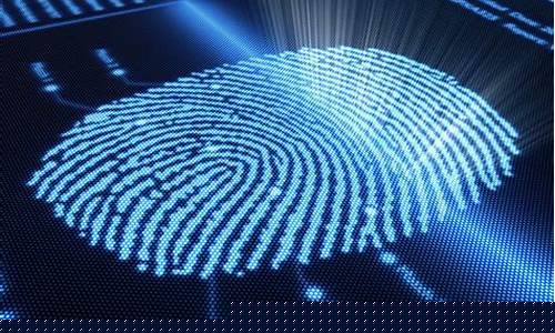 指纹识别与鉴定(手机指纹识别功能消失了)