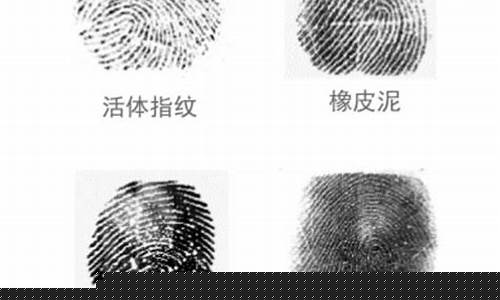 指纹鉴定真假(指纹鉴定)