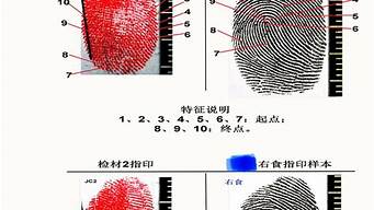 笔记和指纹鉴定(笔迹指纹鉴定需要多少钱)