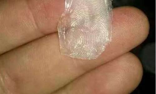 指纹膜鉴定(私人指纹鉴定需要多少钱)