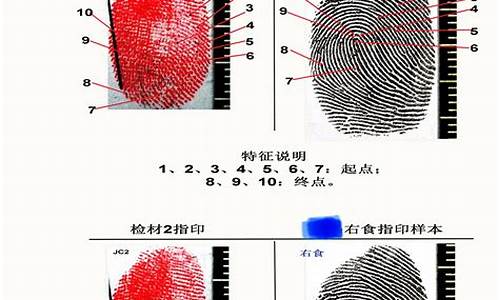 笔迹与指纹鉴定(笔迹指纹鉴定费用怎么收取)