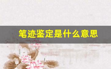 笔迹鉴定是什么意思(笔迹鉴定的标准是什么)