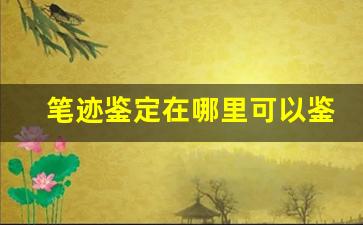 笔迹鉴定在哪里可以鉴定(笔迹鉴定在哪做)