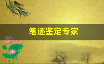 笔迹鉴定专家(笔迹鉴定专家辅助人怎么找)