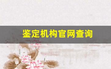 鉴定机构官网查询(鉴定机构官网查询平台)